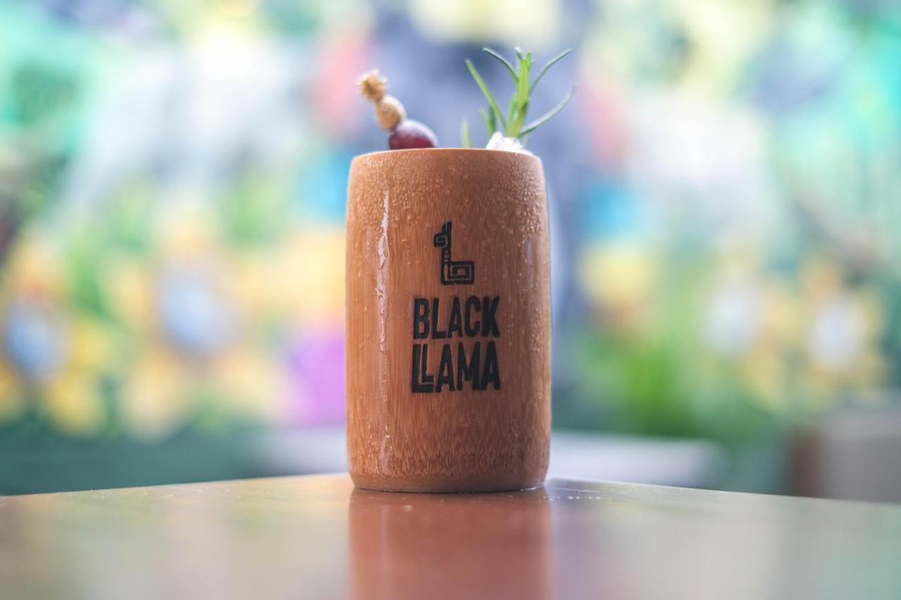 Black Llama Hostel Miraflores Lima Bagian luar foto